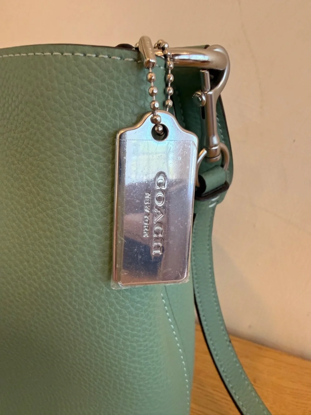 Coach‎ Small Town Bucket Bag in Mint